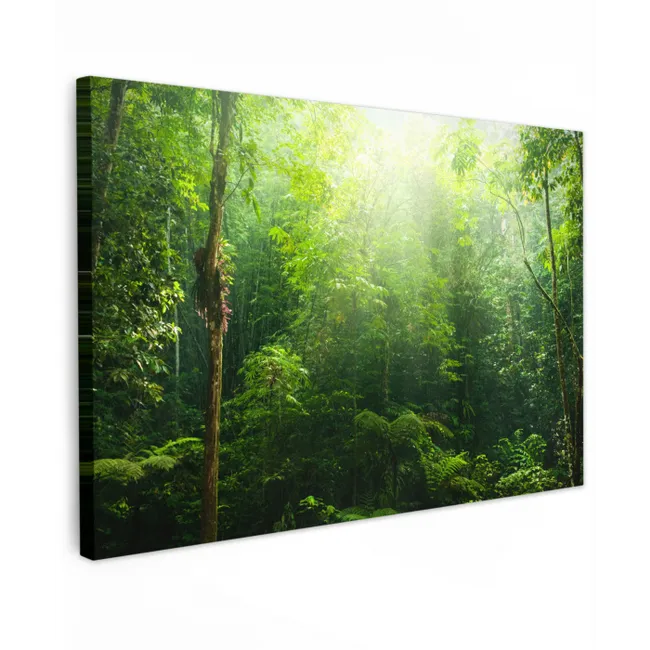 Jungle - Zonlicht - Groen - Meisjes - Kinderen - Jongens canvas 2cm klein -z3d