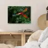 Kleurrijke papegaai is aan het vliegen plexiglas 5mm klein -sfeer4