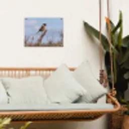 Roodborsttapuit - Heide - Paars - Natuur - Sfeervol tuinposter los doek klein -sfeer7