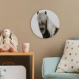 Paarden - Dieren - Portret - Bruin - Wit Wandcirkel kunststof plaat 5mm dik klein -tsfeer1_kind