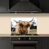 Schotse Hooglander -  Koe - Gras - Dieren - Natuur keuken achterwand spatscherm klein -sfeer1