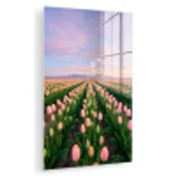 Tulpen - Landschap - Roze plexiglas 5mm klein -zzzproduct_nieuw