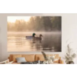 Eenden - Water - Mist - Natuur forex 5mm xxl -bovenbank