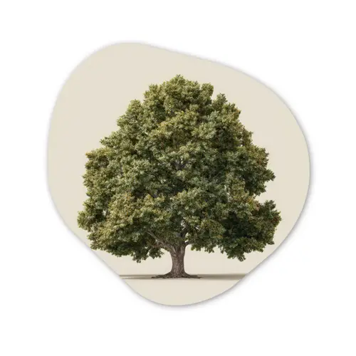 Eikenboom - Groen - Lichte achtergrond Wandcirkel Organisch Forex 3mm klein -3d