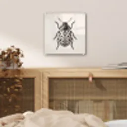 Kever - Insect - Vintage plexiglas 5mm klein -sfeer4