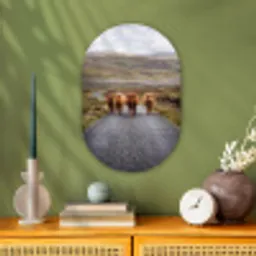 Schotse Hooglanders - Weg - Landschap - Kudde Wandcirkel Ovaal Forex klein -sfeer2