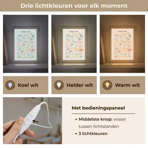 Educatief - Alfabet leren - Jongens - Letters - Dino's Light Box met kabel (Wandlamp kind) klein -USP_lichtkleurNL