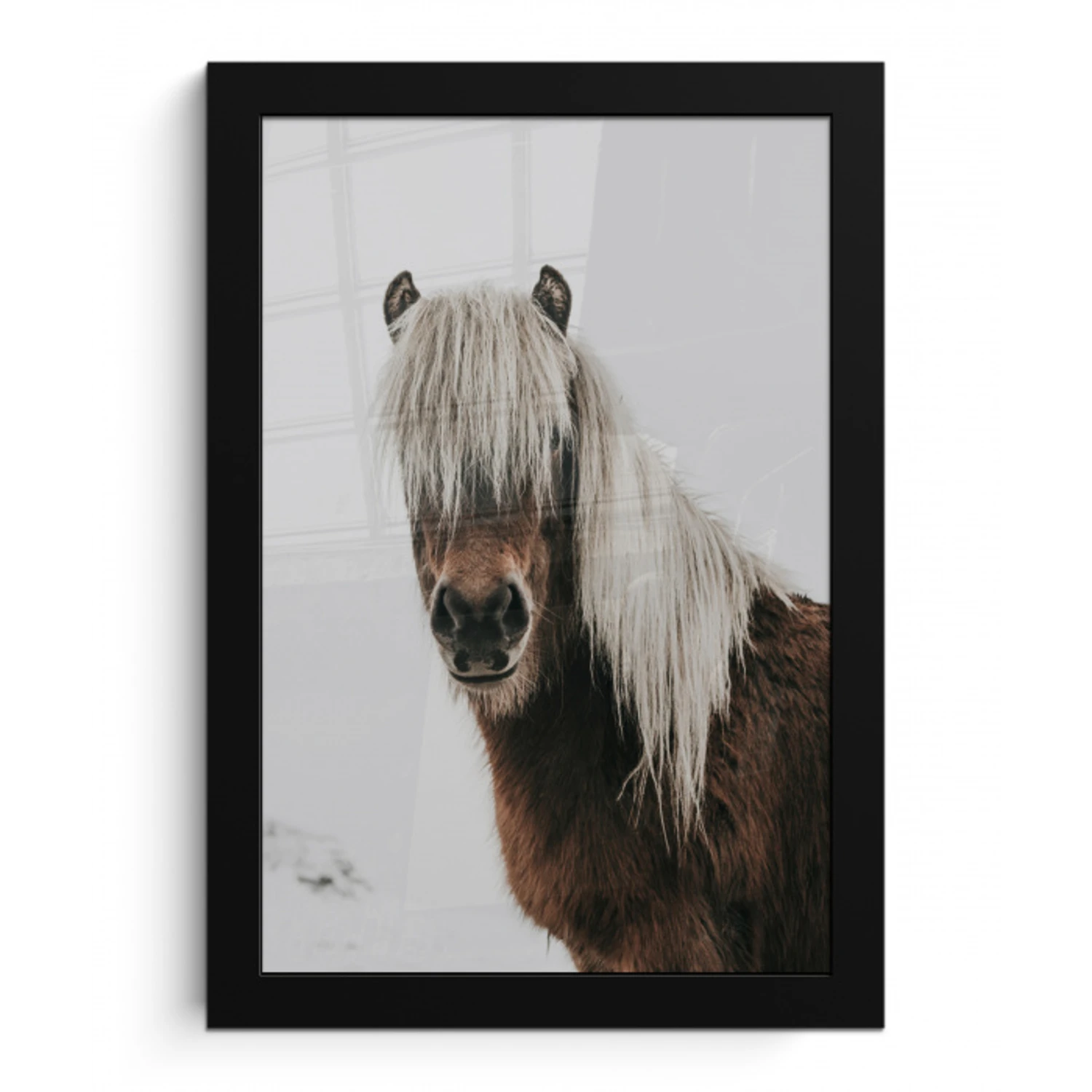 Paarden - Dieren - Portret - Bruin - Wit fotolijst zwart zonder passe partout klein -3d