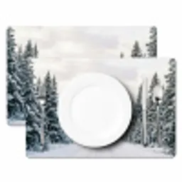 Weg - Sneeuw - Naaldbos - Winter - Avontuurlijk Placemat vinyl groot -zzsfeer2_Kitchenyeah-website