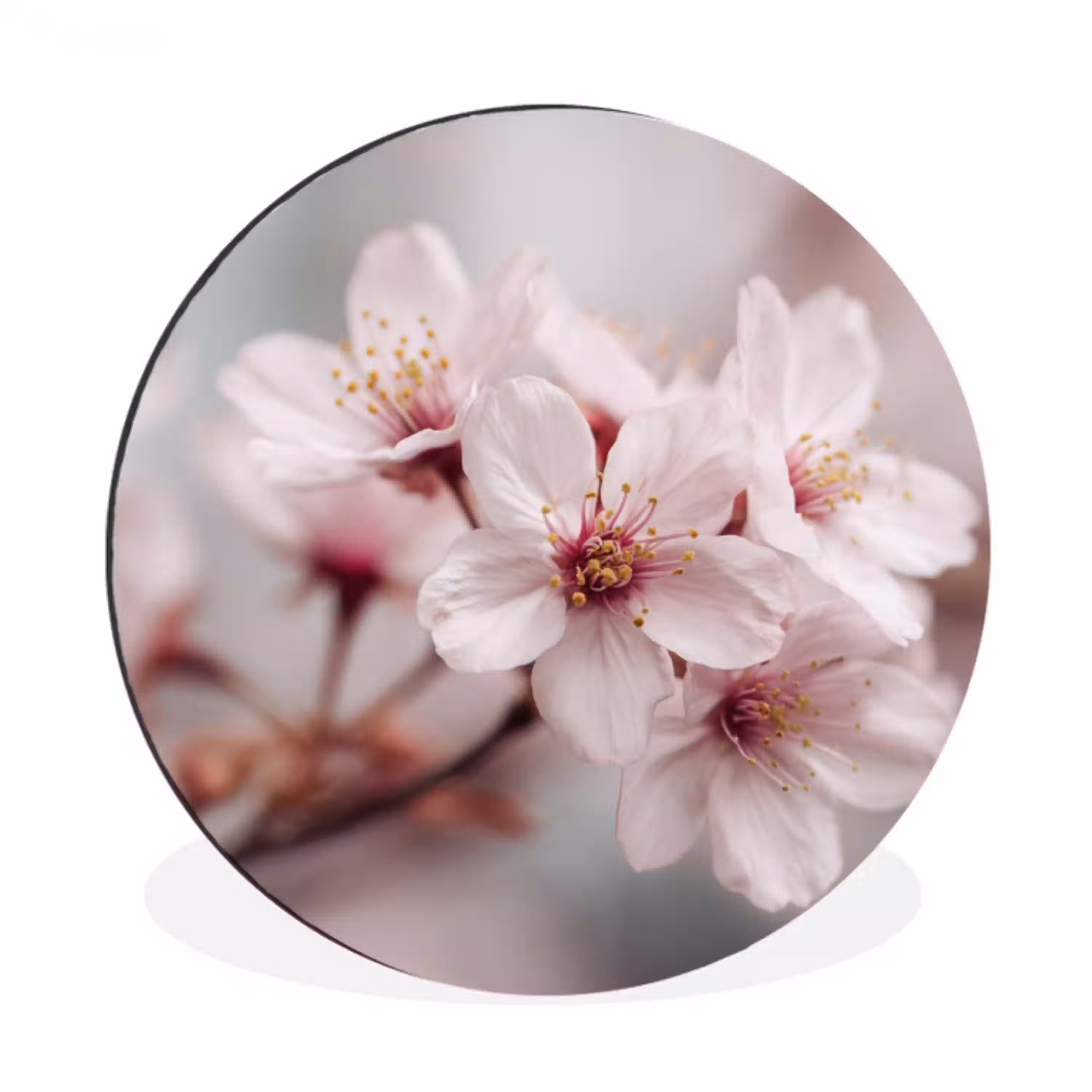 Bloesems - Meeldraden - Geel - Wazig Wandcirkel aluminium klein -3d