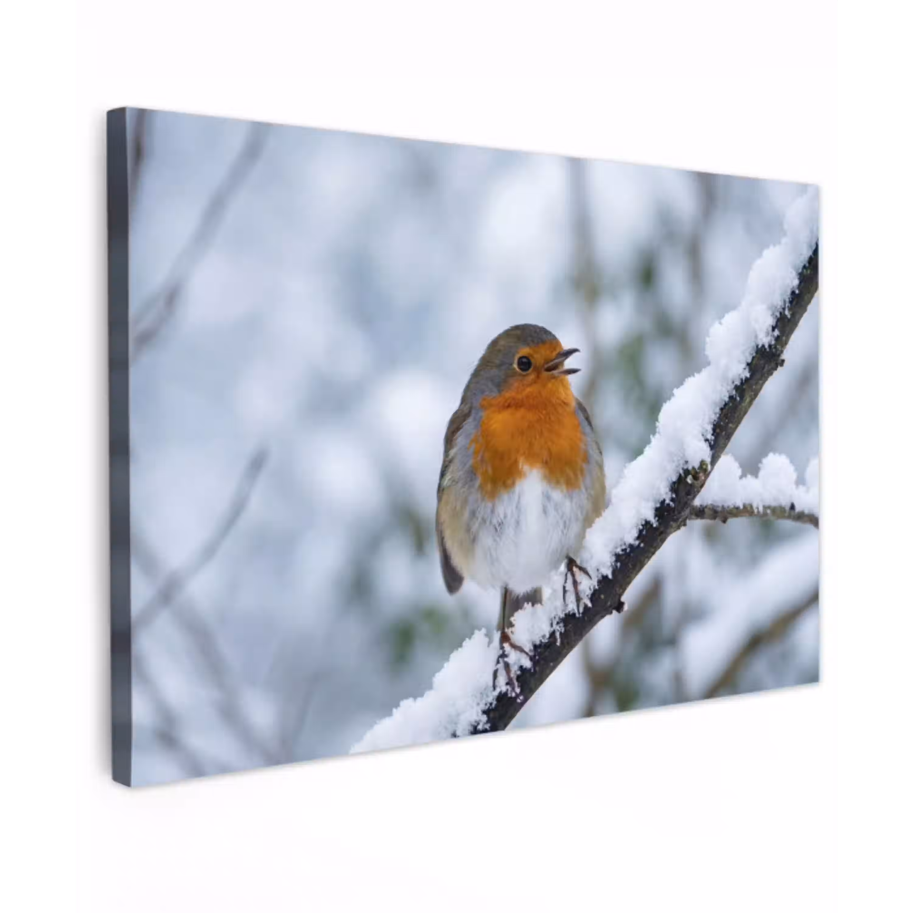 Roodborstje - Tak - Sneeuw - Winter - Levendig canvas 2cm klein -z3d