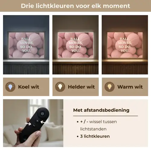 Basketballen - Roze - Quote - Sportief Light Box met batterij (Wandlamp) middel -USP_lichtkleurNL
