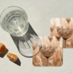 Schermbloem - Droogbloem - Winter - Beige - Minimalistisch onderzetter kurk middel -sfeer4
