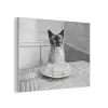 Kat - Siamees - Zwart Wit - Schattig - Dieren PET vilt klein -3d