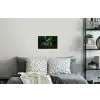 Sparrentakken - Knoppen - Naalden - Groen Muursticker klein -slaapkamer