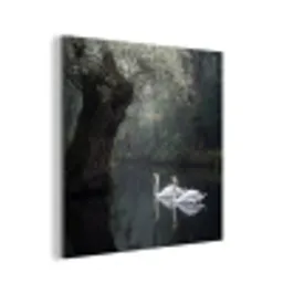Zwanen - Rivier - Bos aluminium wit klein -3d