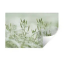 Grassen - Minimalistisch - Groen Muursticker klein -3d