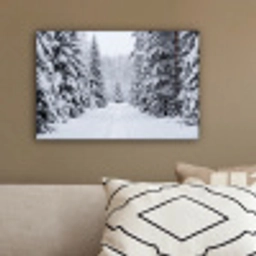 Bos - Winter - Sneeuw - Pad - Natuur canvas 2cm klein -sfeer3