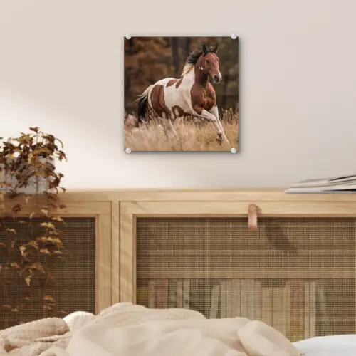Paard - Bruin - Gras plexiglas 5mm klein -sfeer4