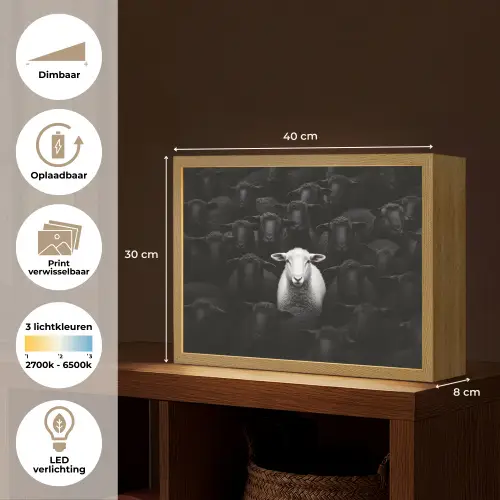 Schapen - Wit - Duisternis Light Box met batterij (Wandlamp) middel -USP_websiteoverzichtNL