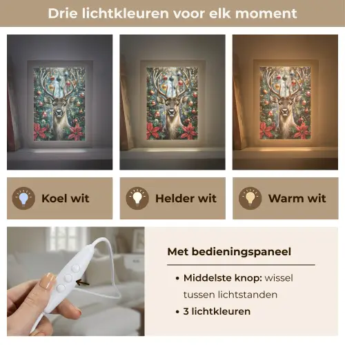 Kerstfeest - Dennenbos - Rood Light Box met kabel (Tafellamp) klein -USP_lichtkleurNL