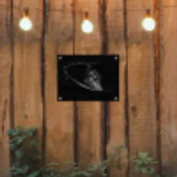 Paarden - Portret - Zwart - Dieren tuinposter los doek klein -sfeer1