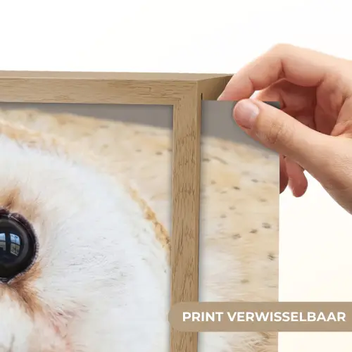 Uil - Bruin - Wit Light Box met batterij (Wandlamp) middel -USP_websiteprintNL