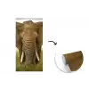 Olifant - Natuur - Gras - Dieren - Landschap fotobehang vinyl groot -3d