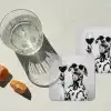 Zonnebril - Dalmatiër - Wijnglas - Tong onderzetter kurk middel -sfeer4