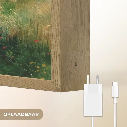 Zandpad - Huis - Bomen - Grasveld Light Box met batterij (Wandlamp) middel -USP_websiteoplaadbaarNL