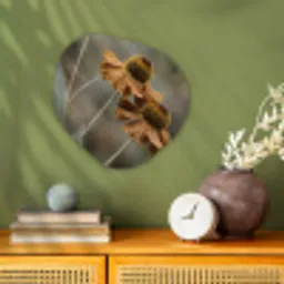 Zonnehoed - Droogbloemen - Geel - Warm Wandcirkel Organisch Forex 3mm klein -sfeer2
