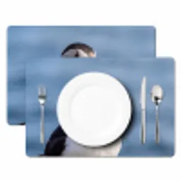 Papegaaiduiker - Portret - Natuur Placemat vinyl groot -zzsfeer2_Kitchenyeah-website