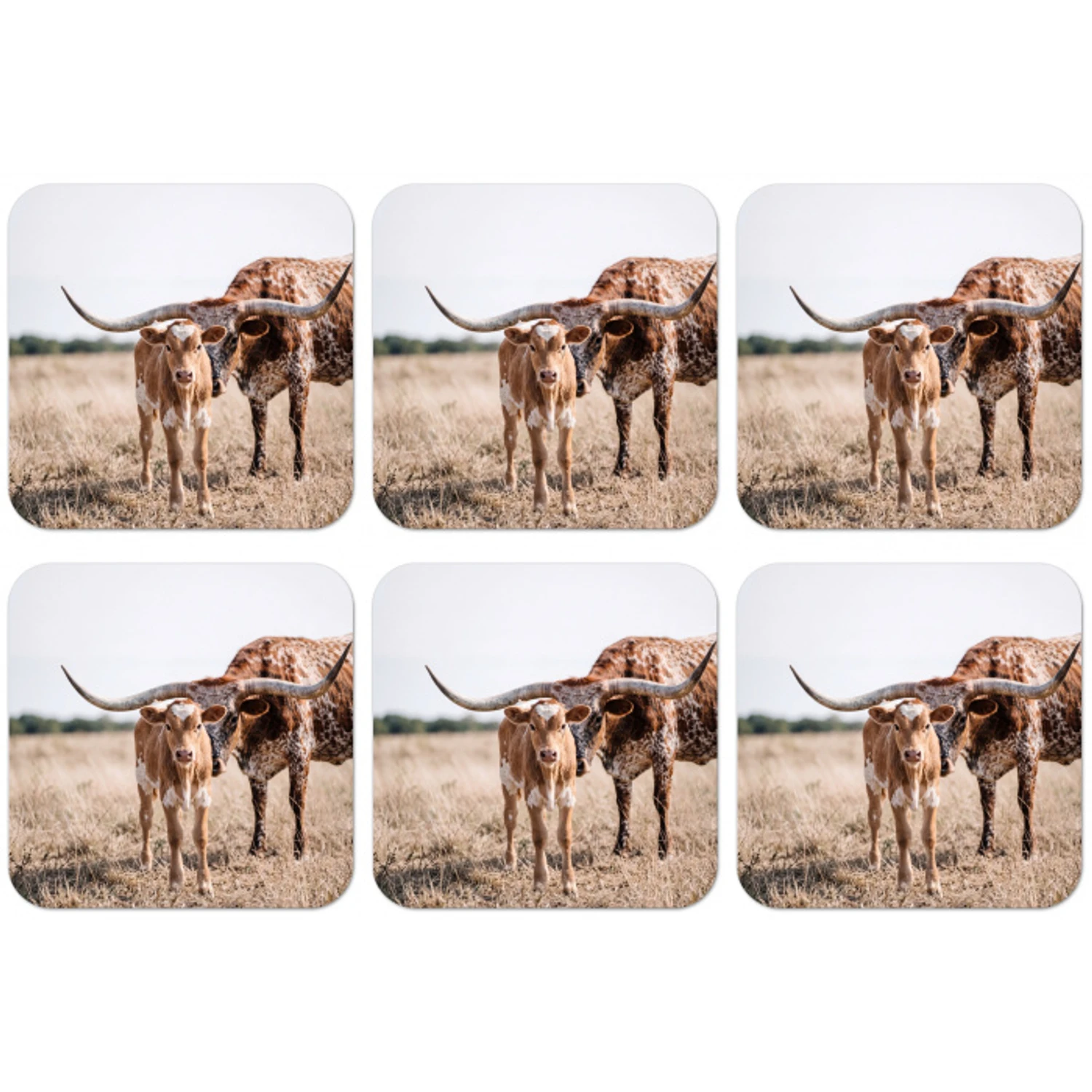 Texas Longhorn - Kalf - Weide - Dieren onderzetter kurk middel -zkaufland3dotto