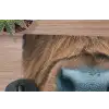 Schotse hooglander - Neus - Bruin muismat rubber klein -closeup