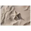 Strand - Zeester - Zand - Beige poster papier klein -3d