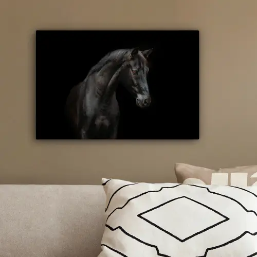 Paard - Dieren - Zwart - Portret canvas 2cm klein -sfeer3
