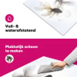 Goudvissen - Modern - Wit Inductie beschermer vinyl 3mm klein -wsfeer6_website