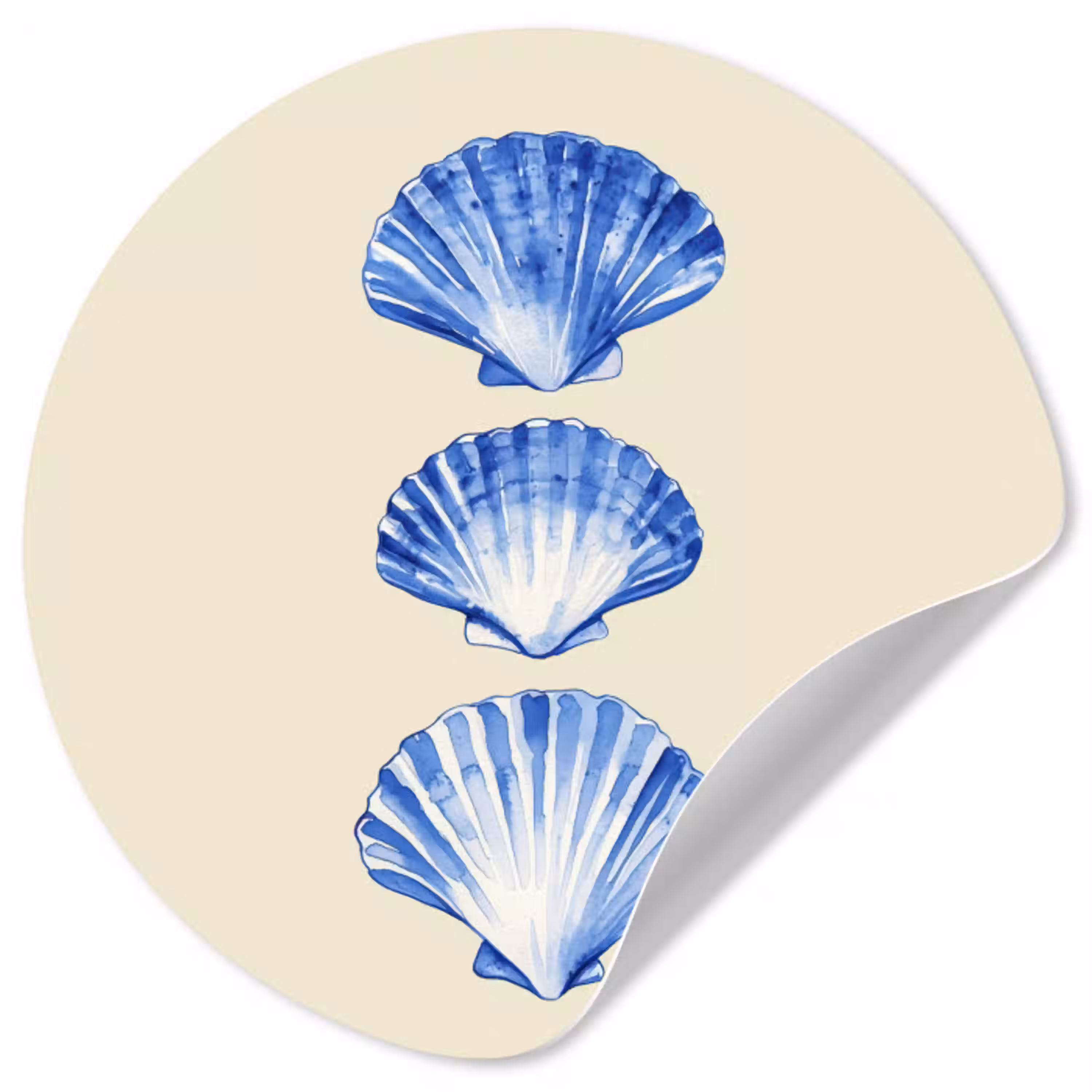 Schelpen - Blauw - Beige Wandcirkel behangsticker klein -3d