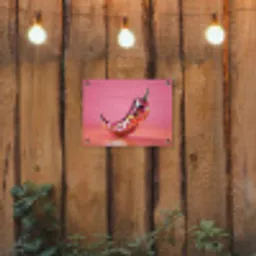 Peper - Disco - Rood - Glitter tuinposter los doek klein -sfeer1