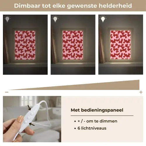 Modern - Abstract - Rood Light Box met kabel (Tafellamp) klein 925 -USP_dimbaarNL