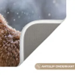 Vos - Sneeuwval - Portret - Winter - Sfeervol Badmat klein -USP_AntislipNL