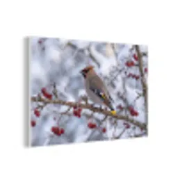 Pestvogel - Bessen - Winter - Natuur forex 5mm xxl -3d