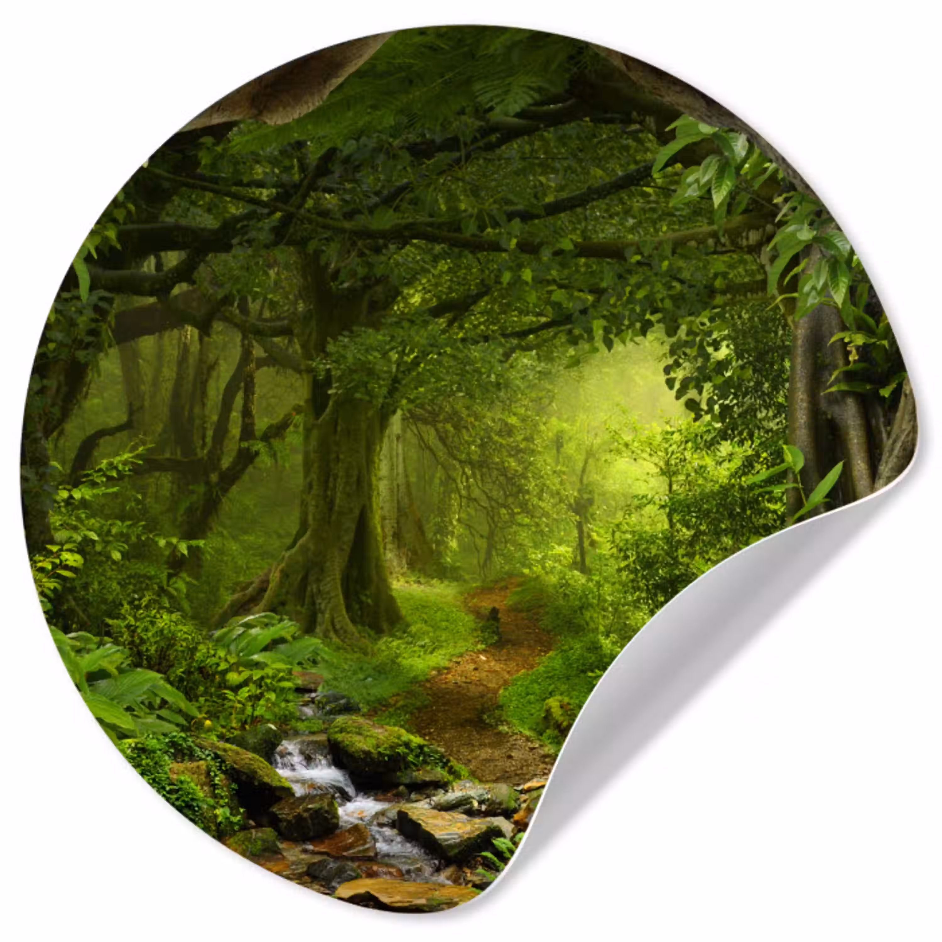 Jungle - Groen - Natuur - Tropisch - Planten Wandcirkel behangsticker klein -3d