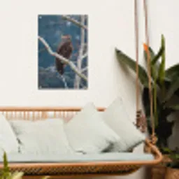 Vogel - Tak - Roofvogel tuinposter los doek klein -sfeer7