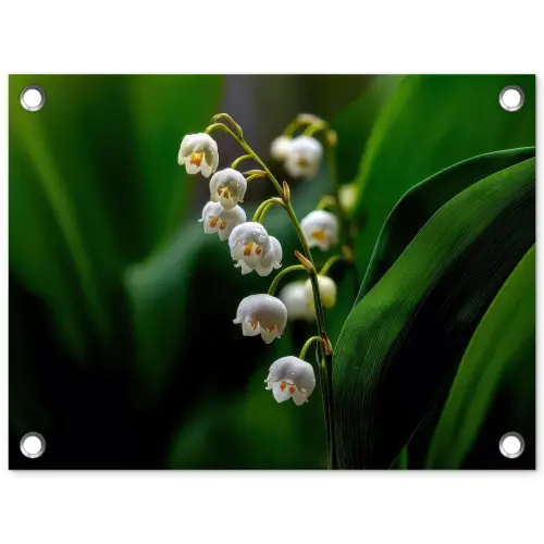 Bloemen - Wit - Bladeren - Lelietjes tuinposter los doek klein -3d
