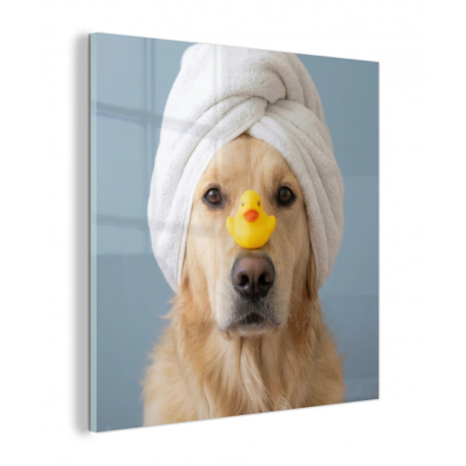 Hond - Badeend - Geel plexiglas 5mm klein -z3d