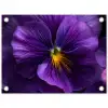 Paars - Viool - Diepte tuinposter los doek klein -3d