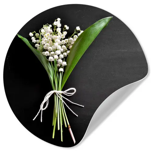 Lelietjes van dalen - Bloemen - Stilleven - Flora Wandcirkel behangsticker klein -3d