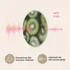 Kiwi - Fruit - Groen Akoestische PET Vilt - Rond klein -USP_NL
