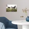 Koeien - Licht - Gras - Dieren poster papier klein -sfeer3